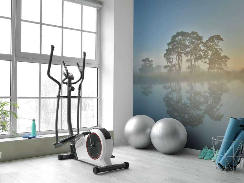 Mgła na wrzosowiskach