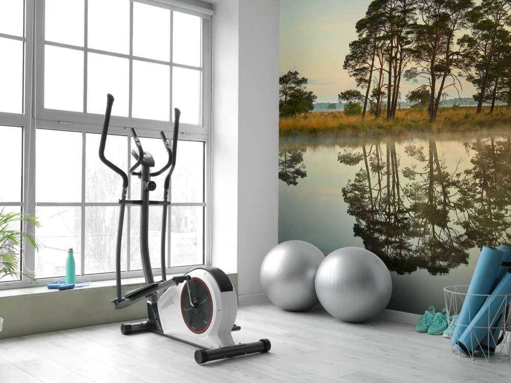 Odbicie w żyłach leśnych