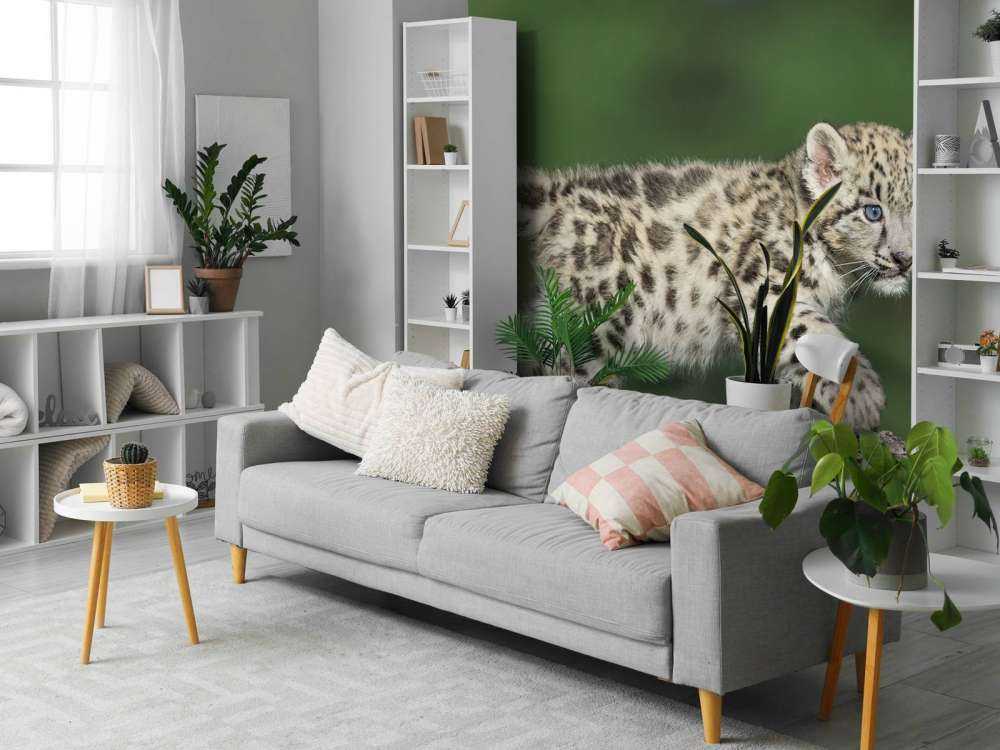 Młode pantery śnieżnej