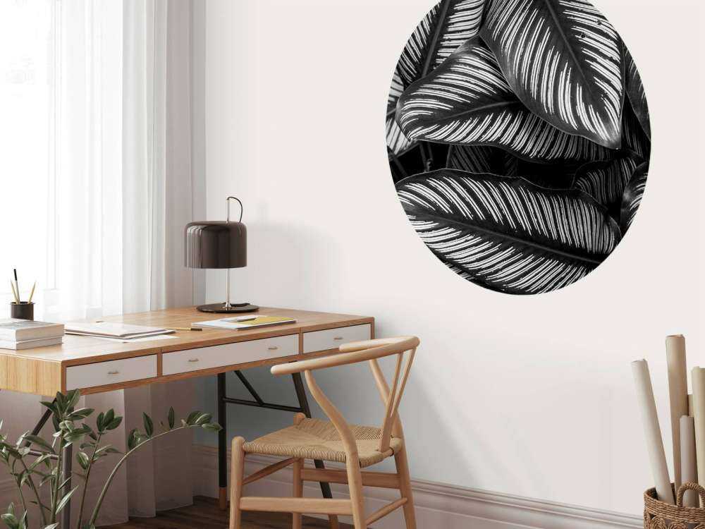 Liście palmy czarno-białej