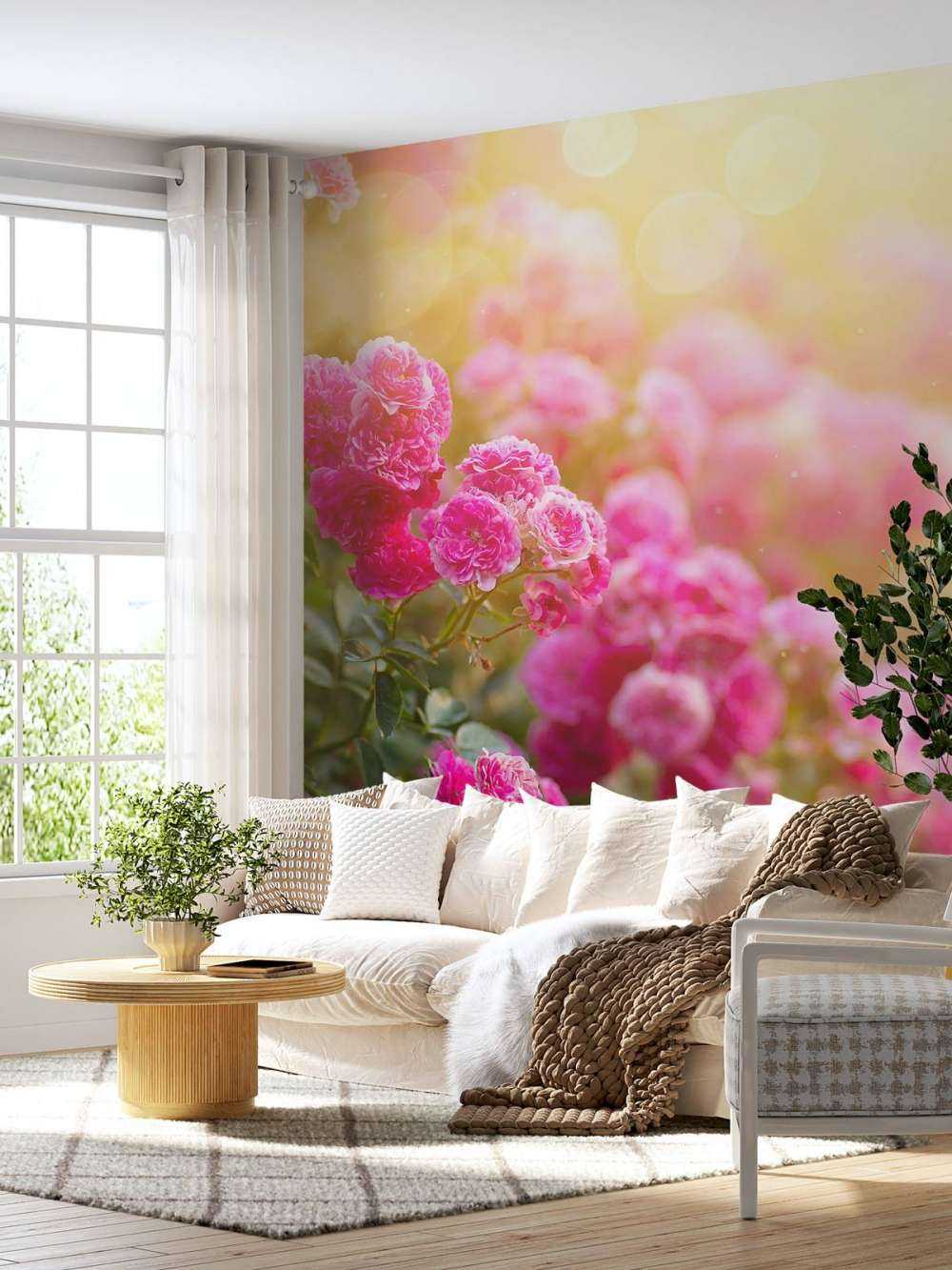 Różowe krzewy róży