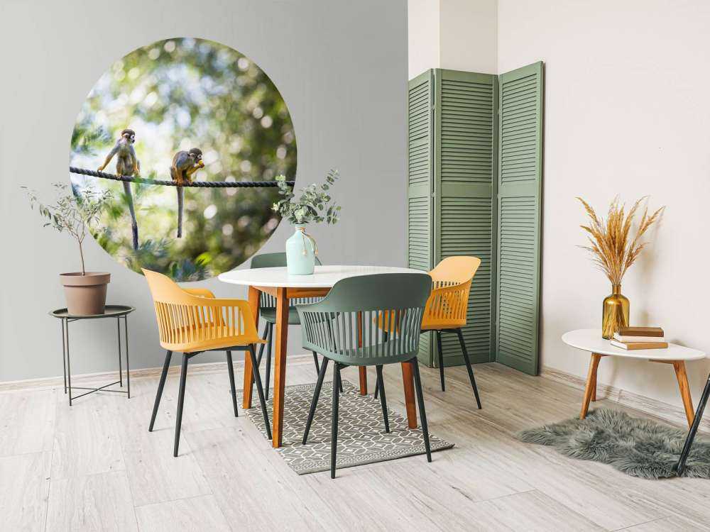 Małpy wiewiórki na linie