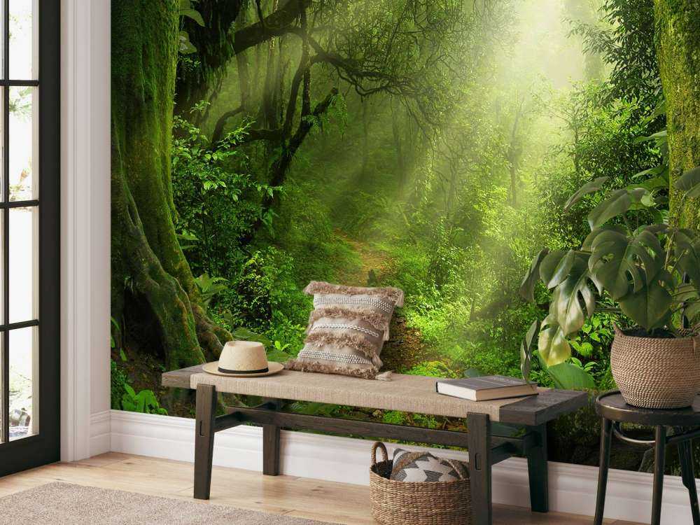 Dżungla z promieniami słońca