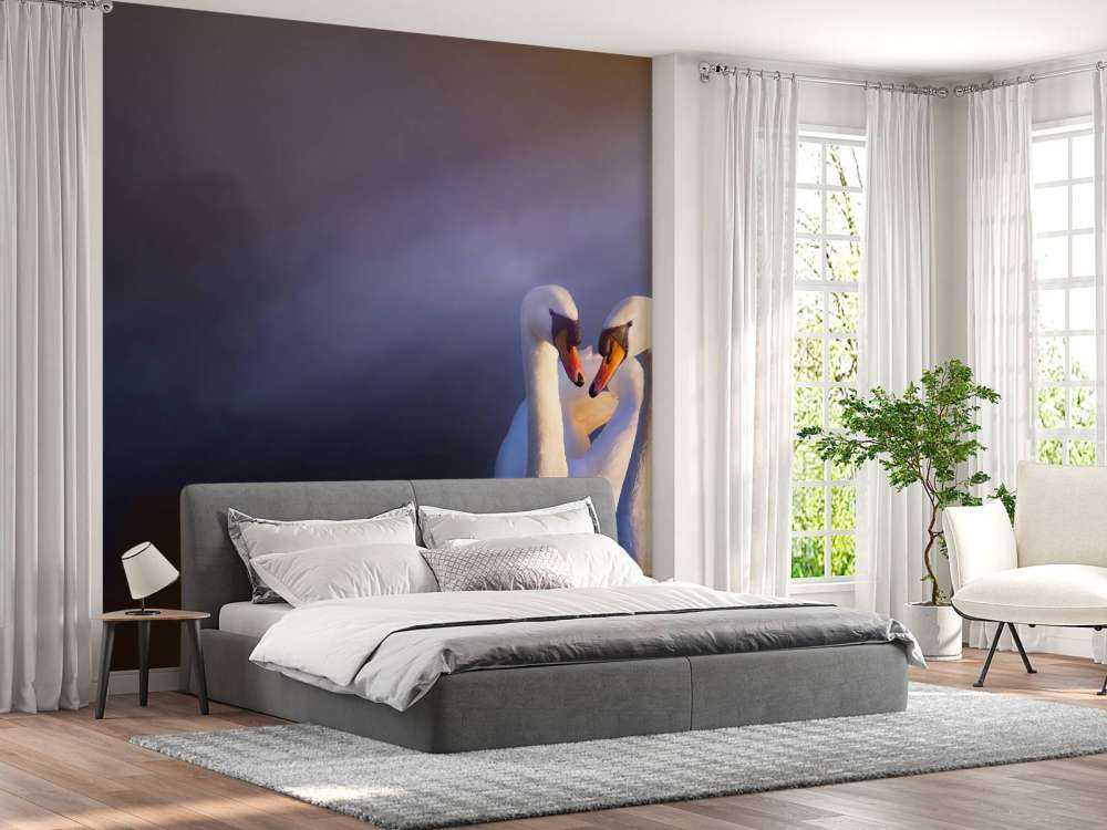 Kocham parę białych łabędzi