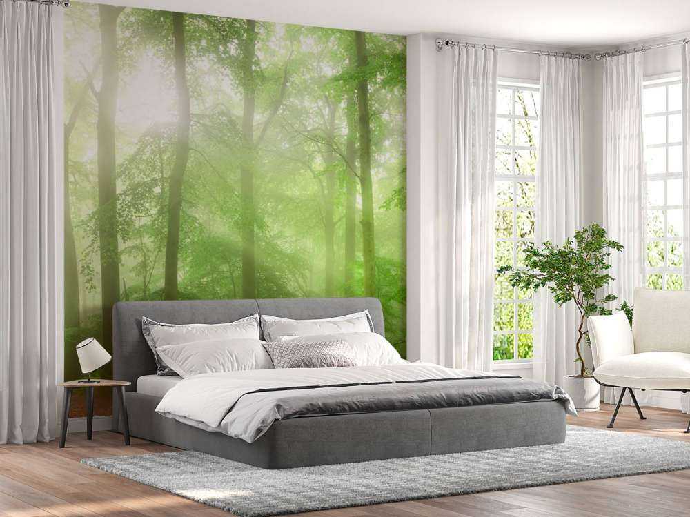 Zielona panorama leśna