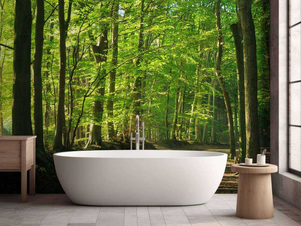 Słoneczna droga przez las