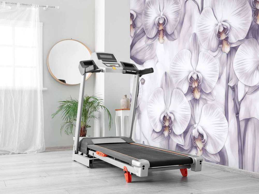 Raj Orchidei Fioletowy