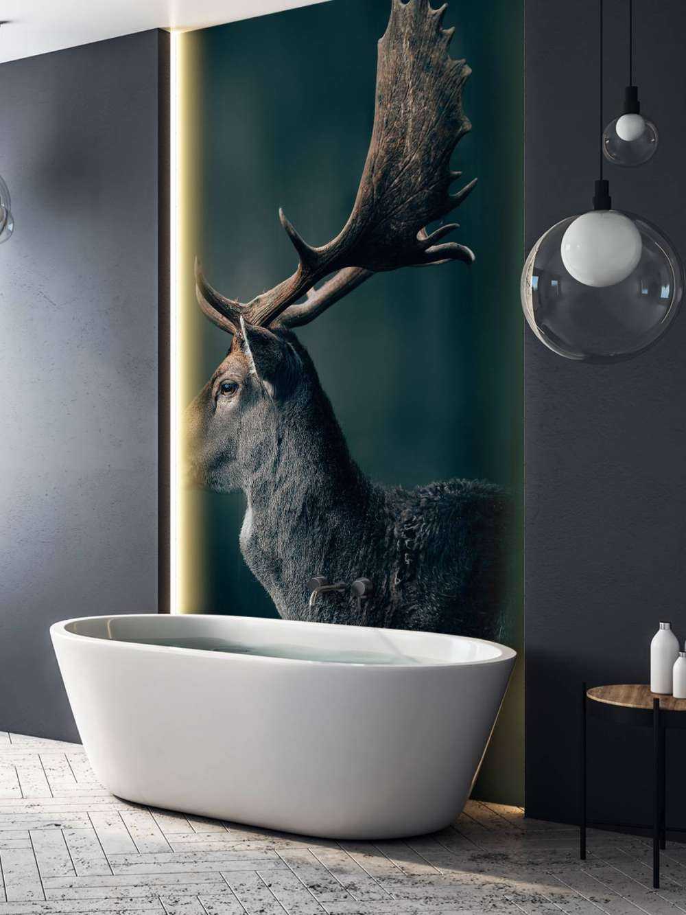 Jeleń daniel zbliżenie