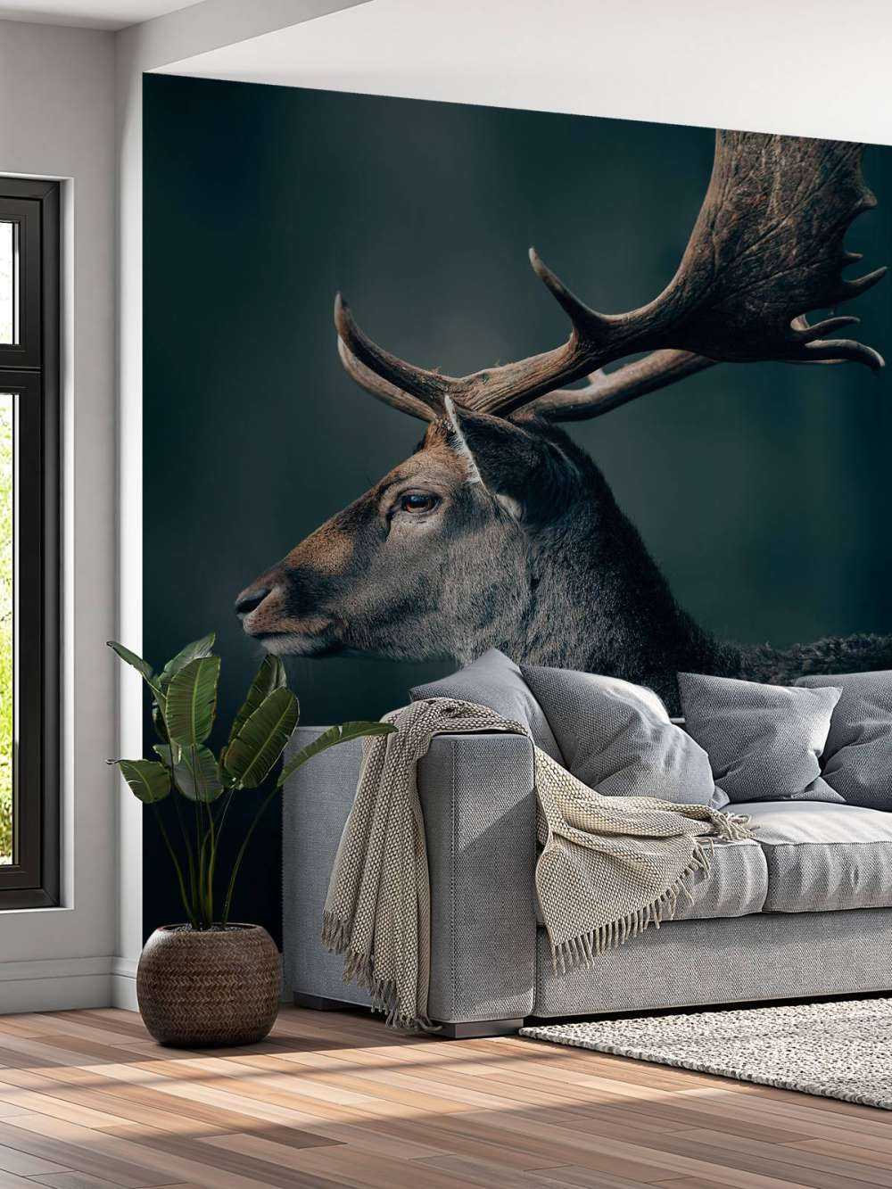 Jeleń daniel zbliżenie