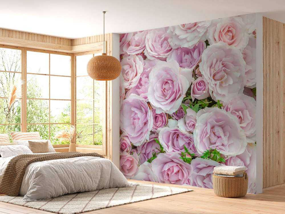 Kolorowe róże białe i różowe