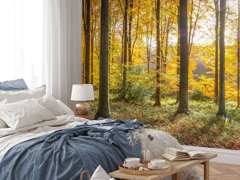 Słoneczny jesienny dzień