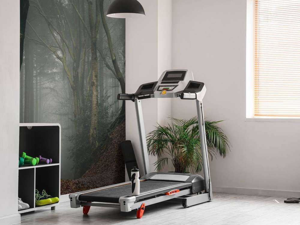 Ścieżka przez tajemniczy las