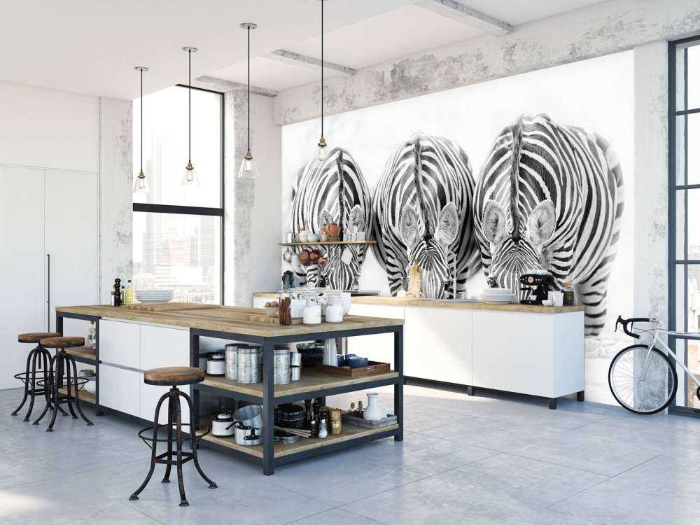 Three zebras