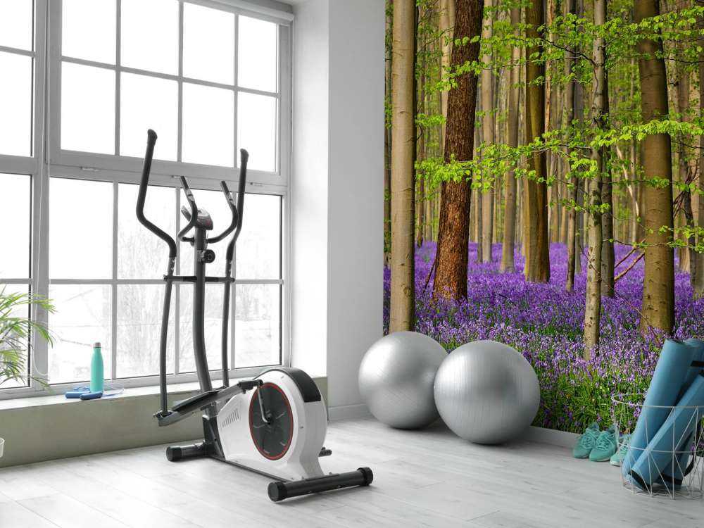 Las z fioletowymi kwiatami