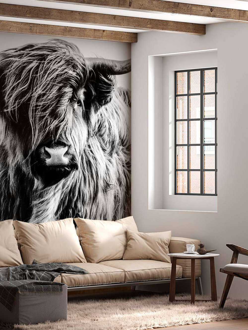 Szkocka rasa wyżynna w czerni i bieli