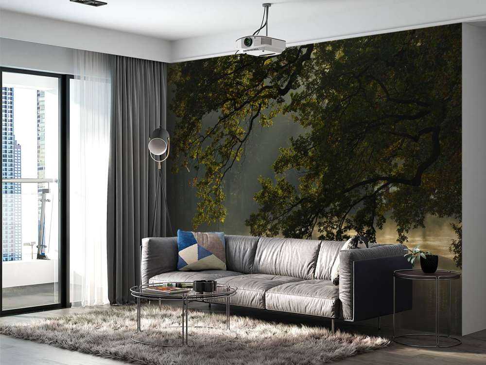 Zwisające gałęzie nad wodą