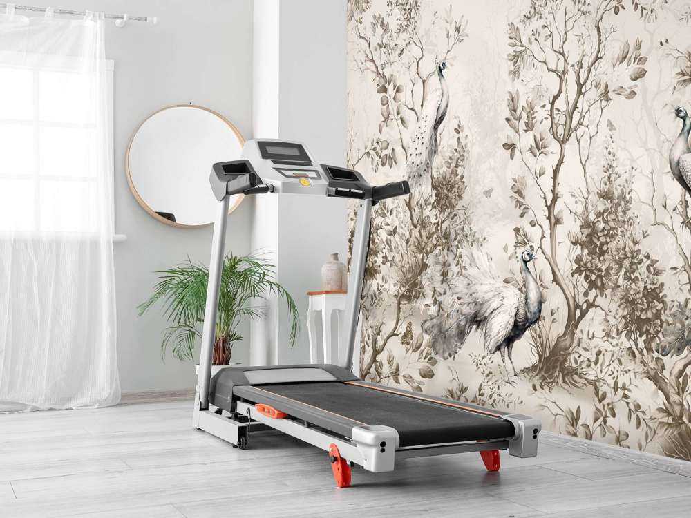 Pawie w Pastoralnej Ciszy