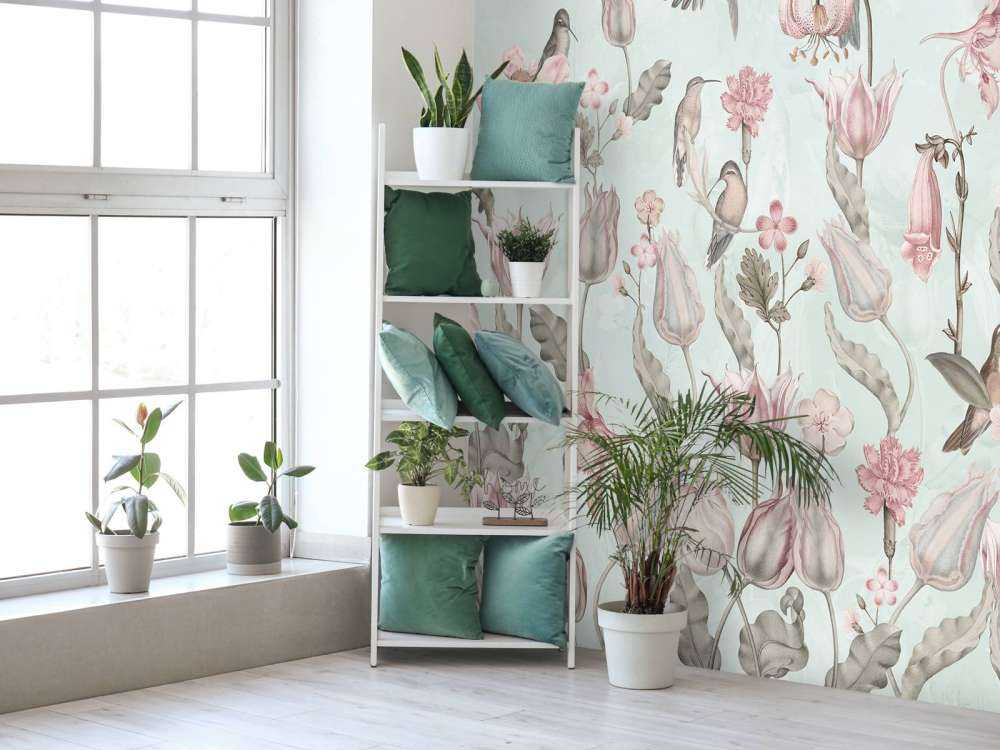 Symfonia Kolibrów Wiosennych - Miętowa Łąka