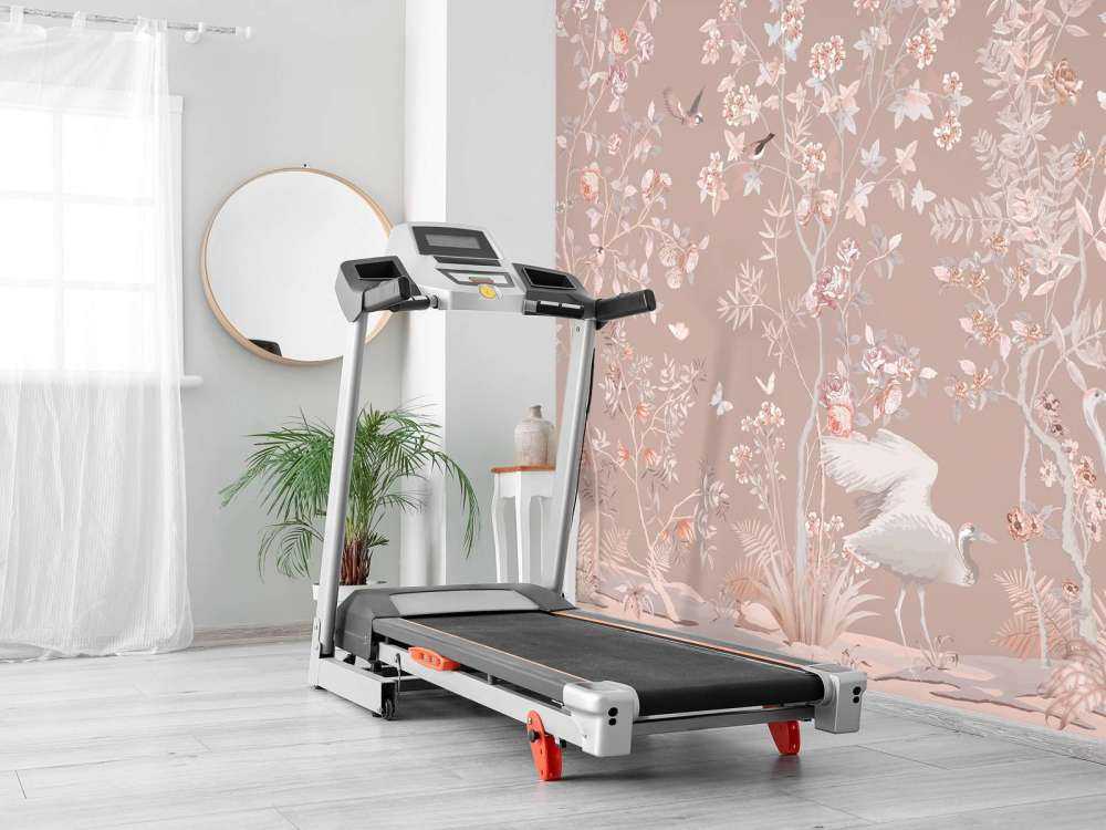 Ogród Łaskawych Bocianów