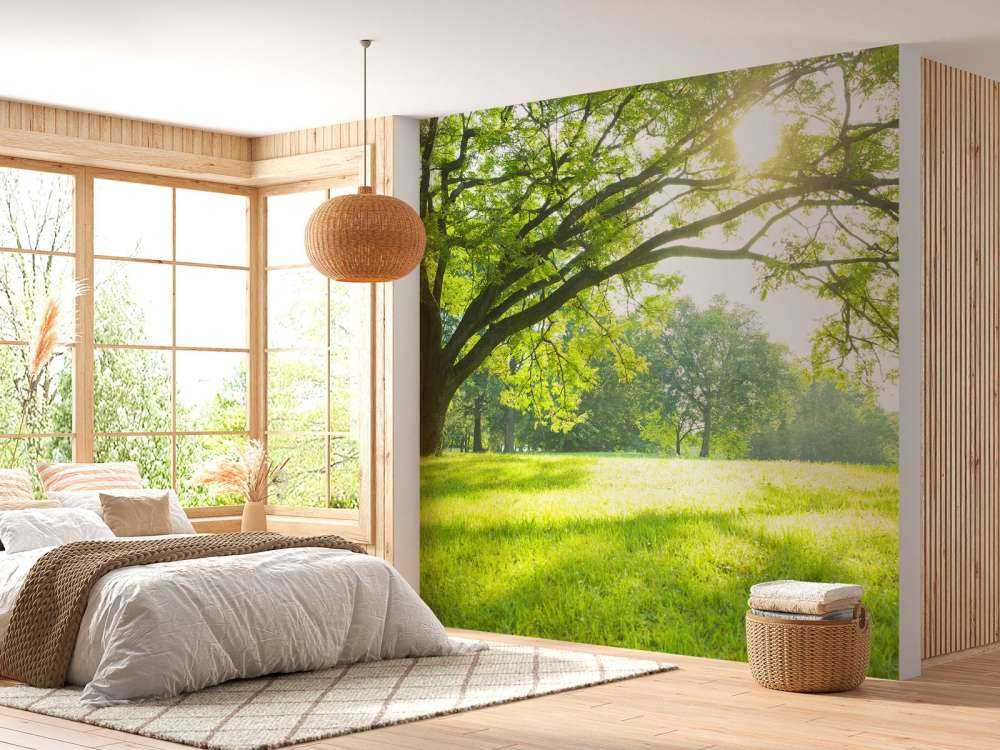 Piękne drzewo z zieloną trawą