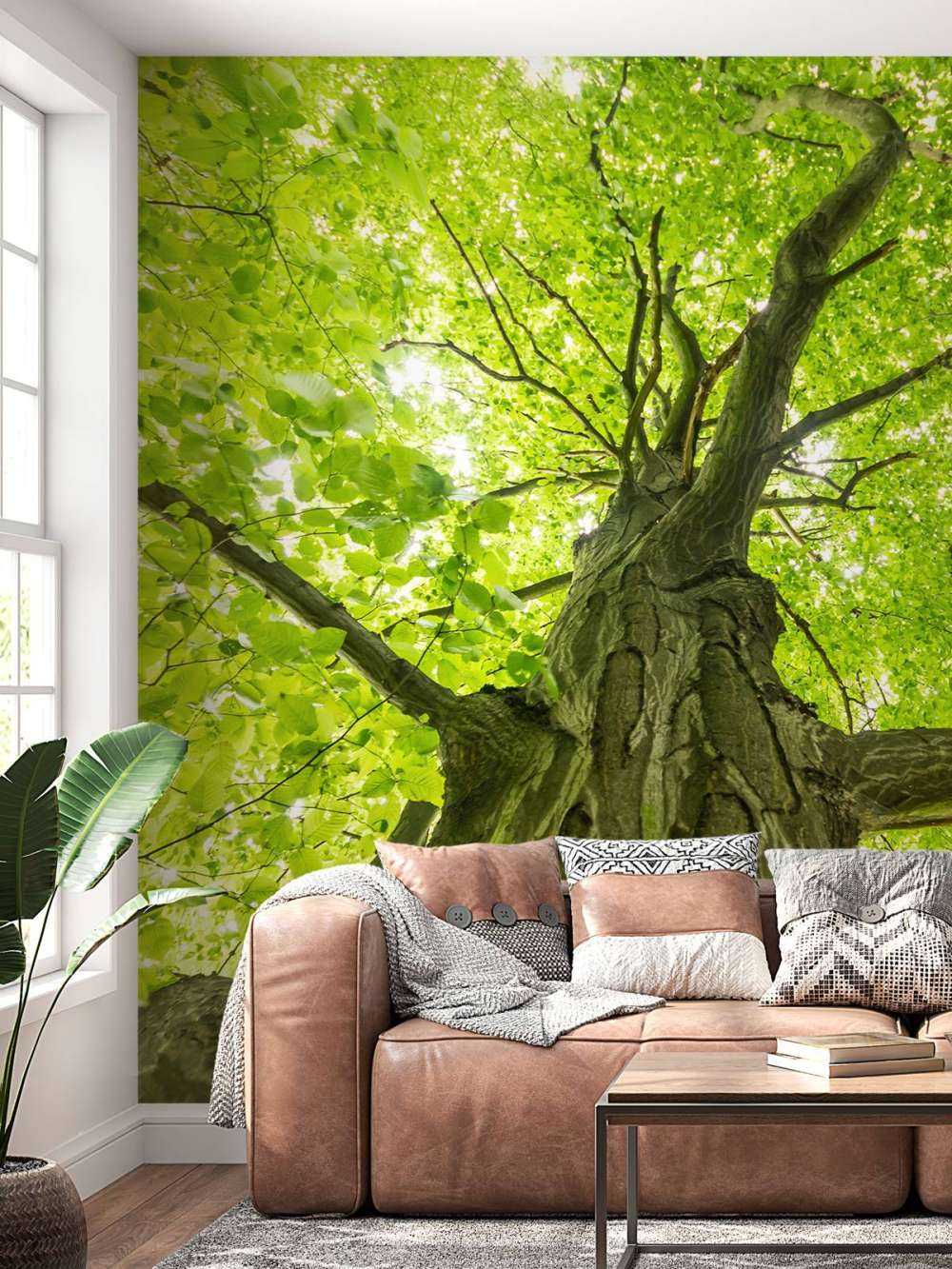 Duże drzewo w lesie