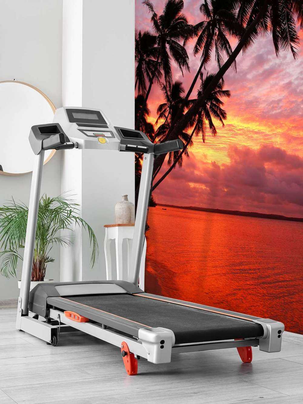 Drzewa palmowe nad czerwonym oceanem