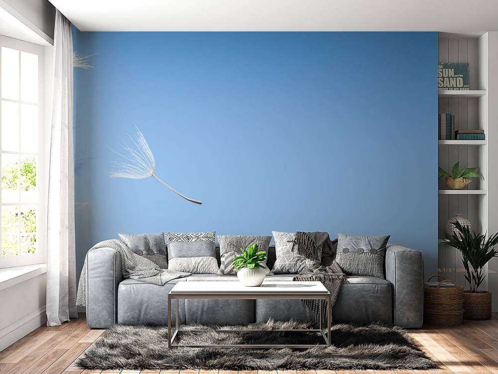 Latający puch mlecz lekarski