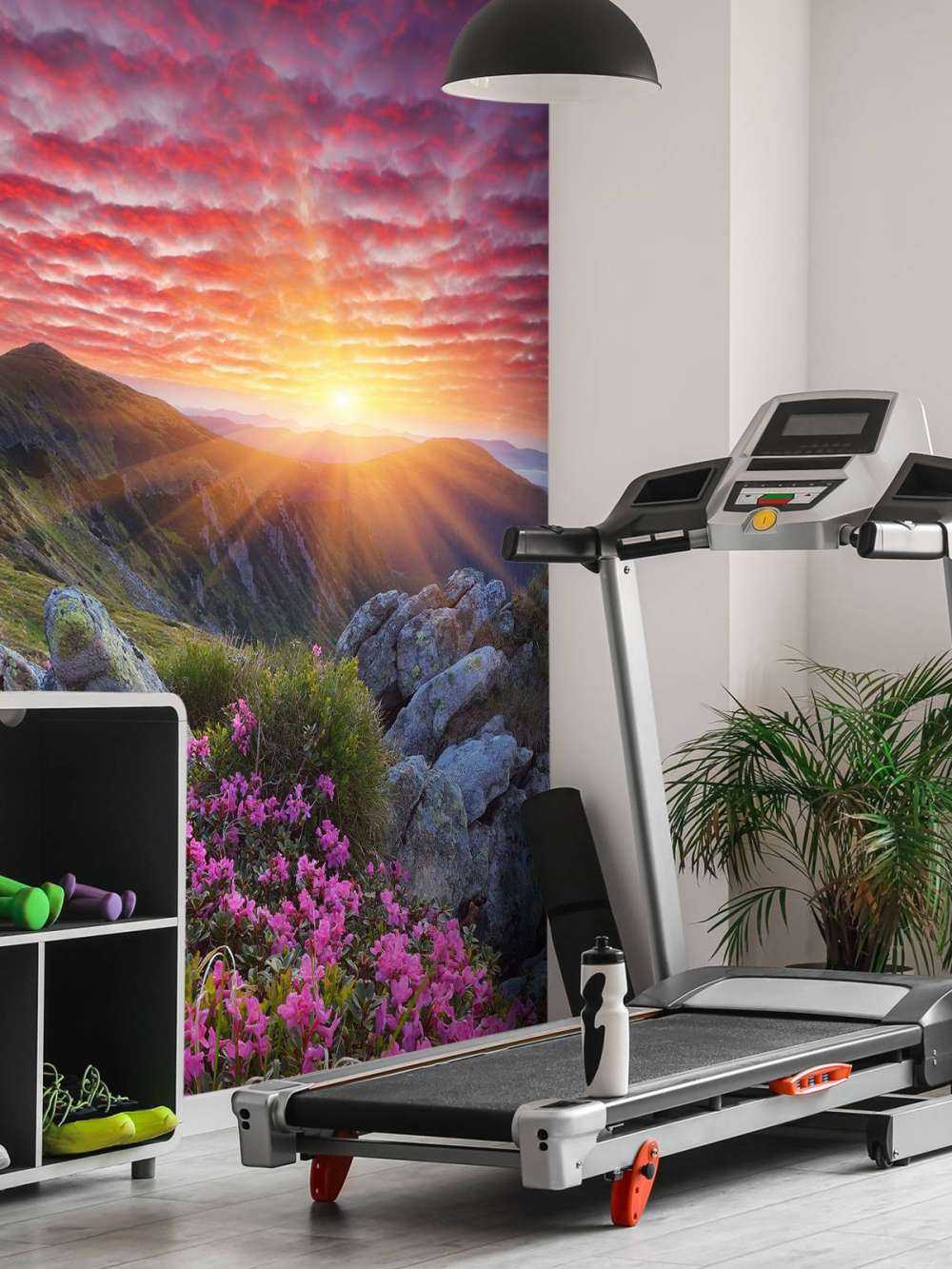 Fioletowy zachód słońca