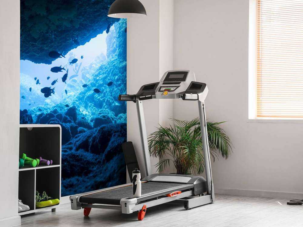 Wąska jaskinia z rybami