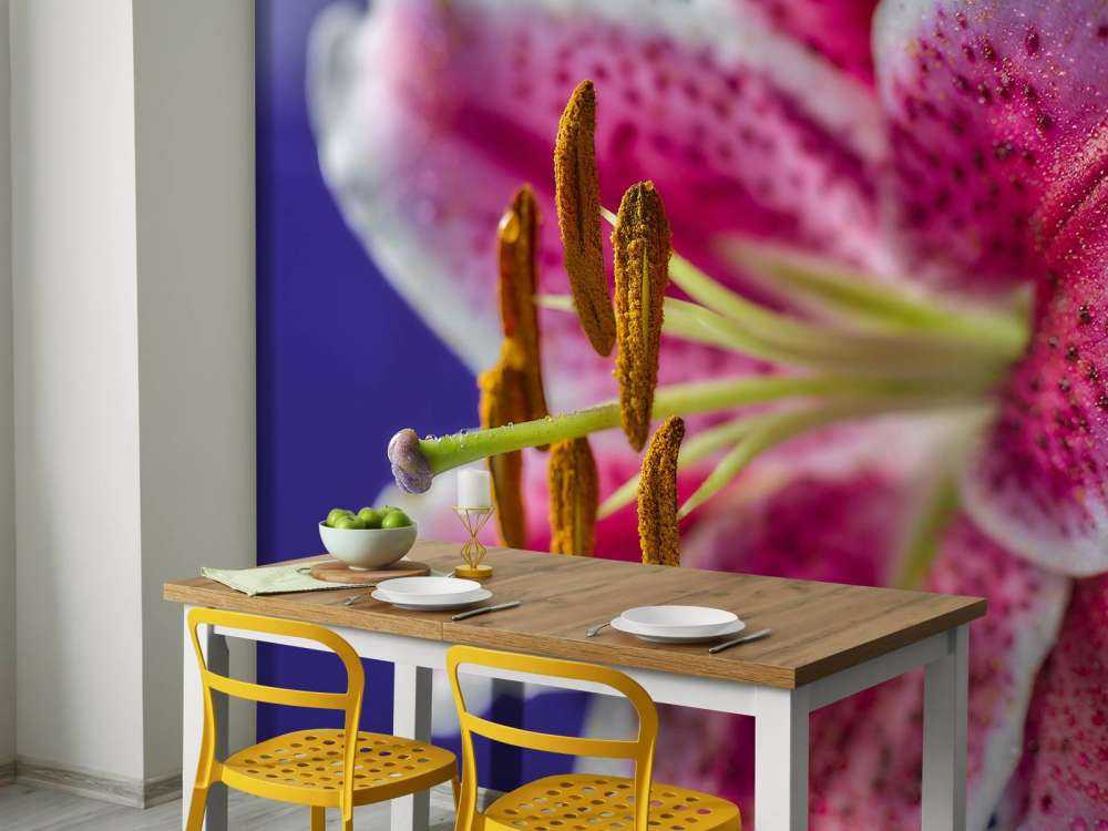 Zbliżenie na różowy kwiat