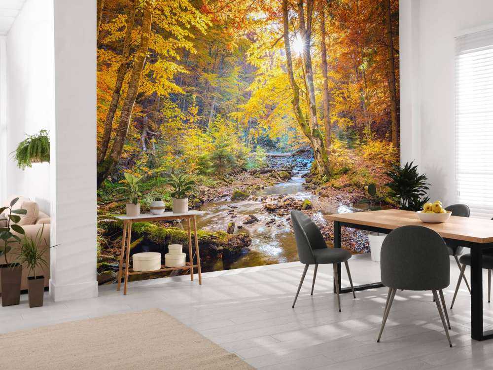 Jesień w dzikim lesie