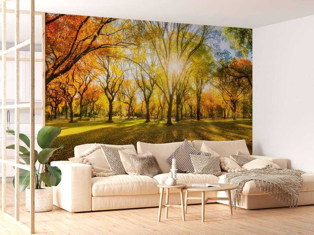 Kolorowy jesienny las