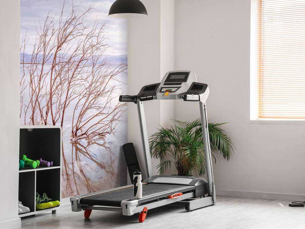 Gałęzie w Morzu Martwym