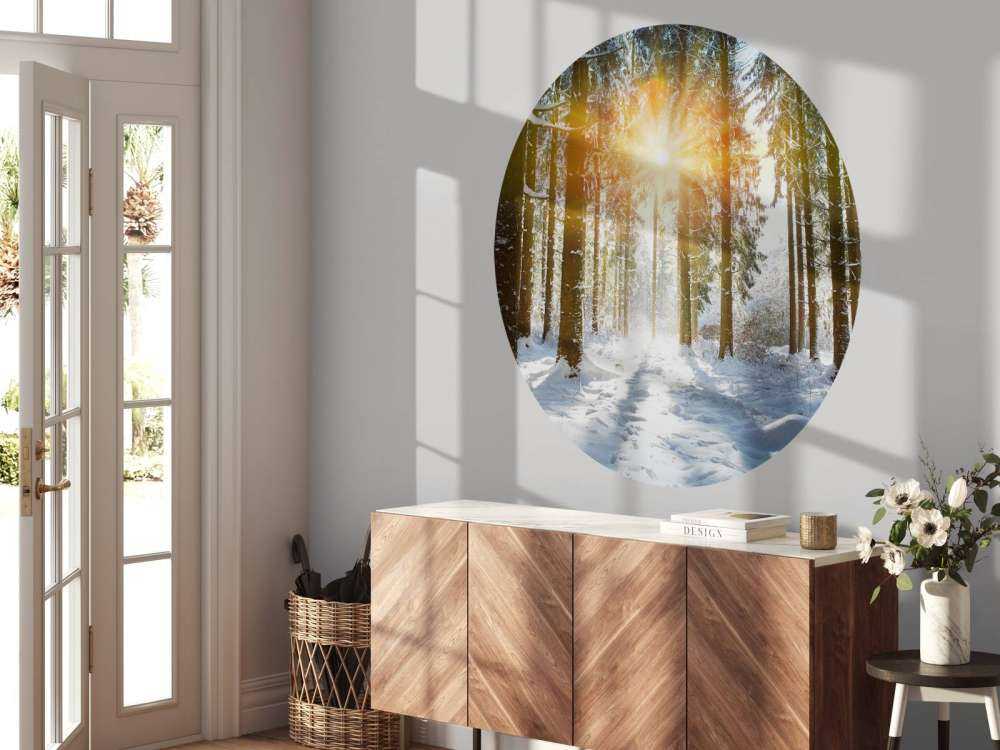 Światło słoneczne w zimowym lesie