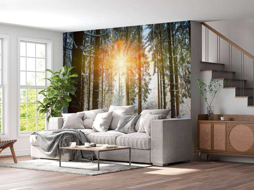 Światło słoneczne w zimowym lesie