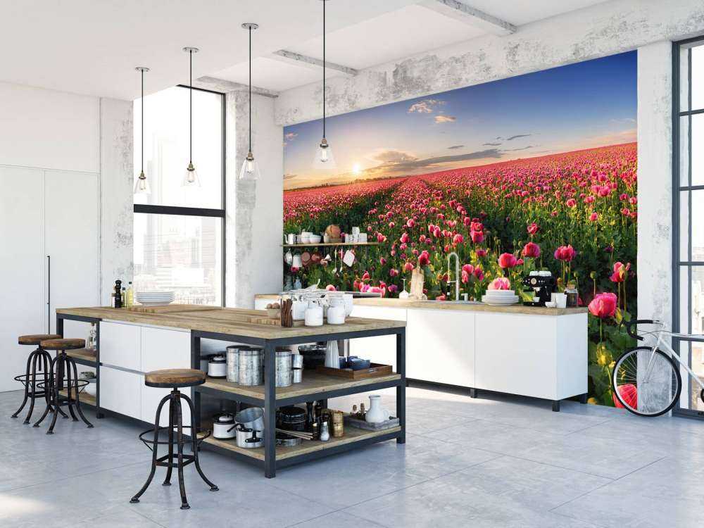 Pole różowych maków