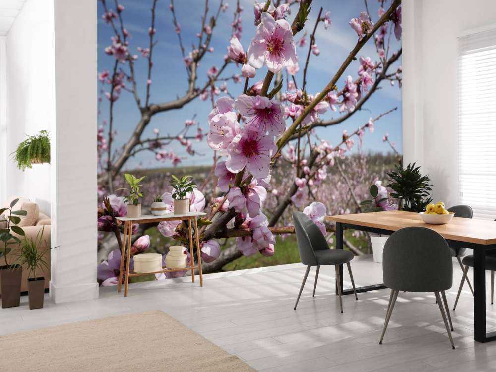 Kwiaty jasnoróżowe