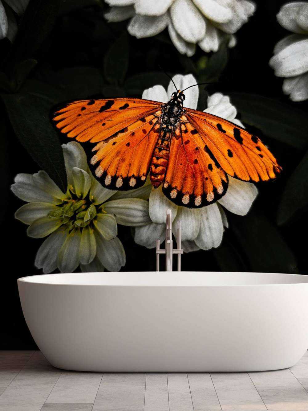 Motyl monarchy na kwiecie