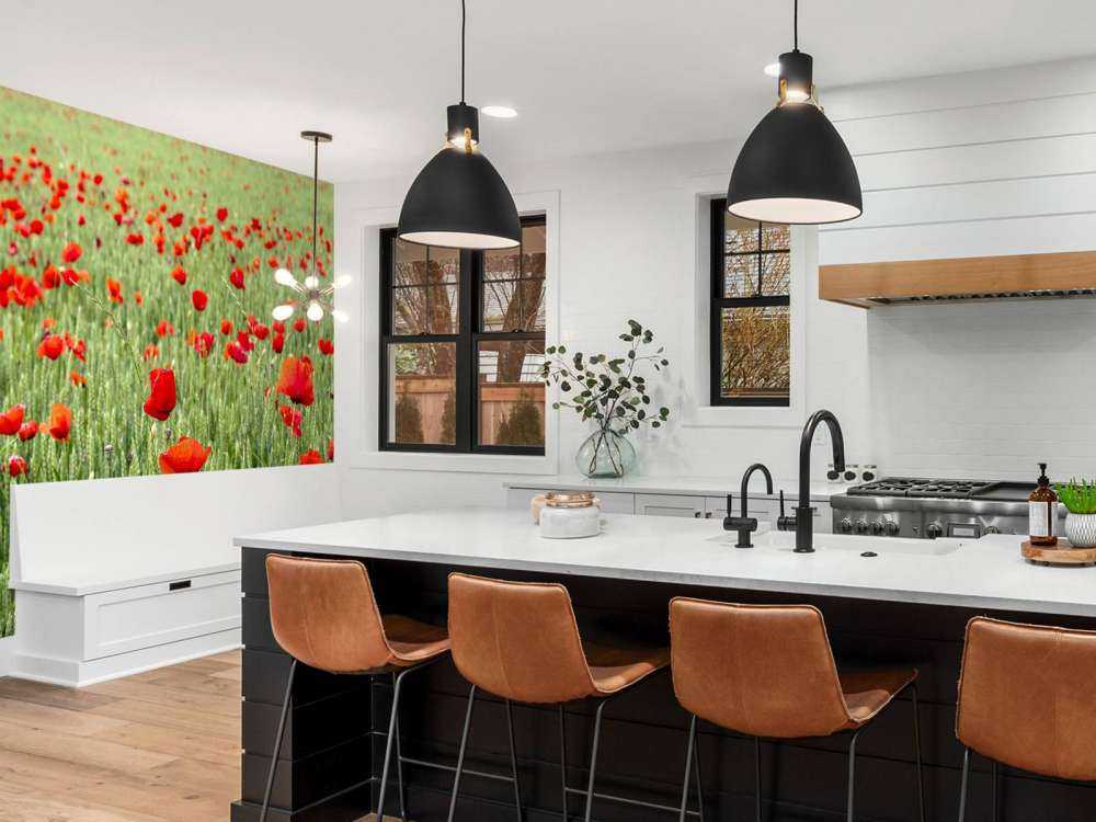 Pole czerwonych maków