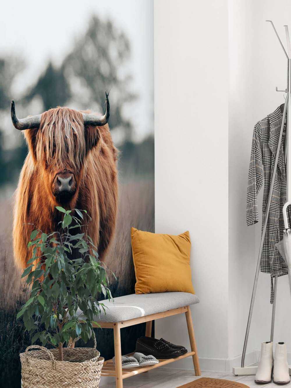 Portret mieszkańców Highlands