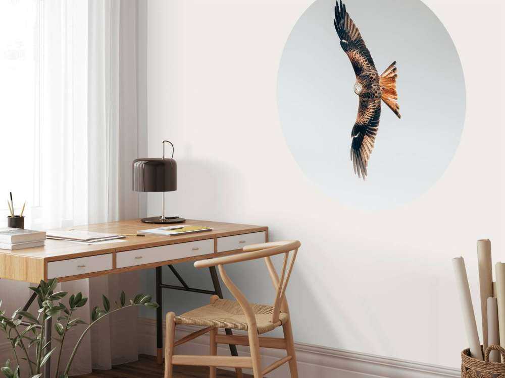 Czerwony latawiec z rozpostartymi skrzydłami