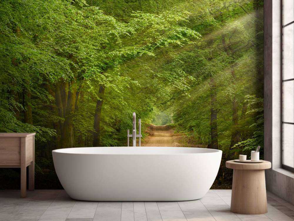 Ropucha w lesie z promieniami słońca