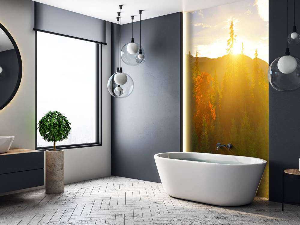 Panorama lasu sosnowego