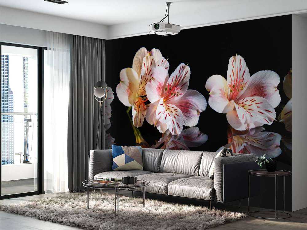 Kwiaty Alstroemerii z odbiciem