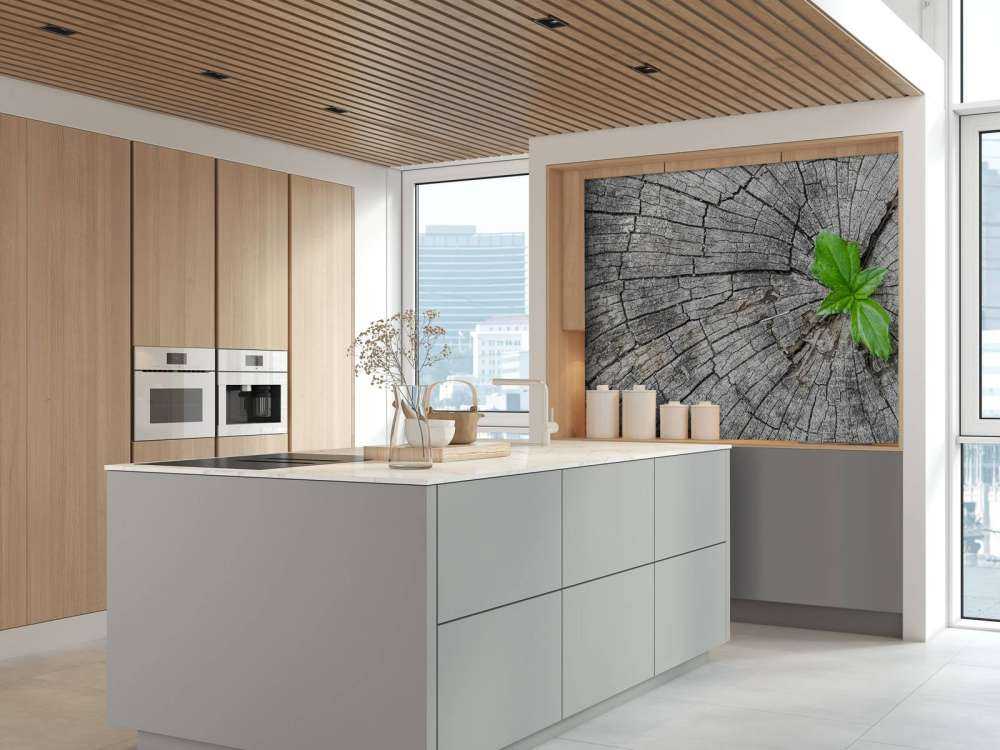 Średnica pnia drzewa 