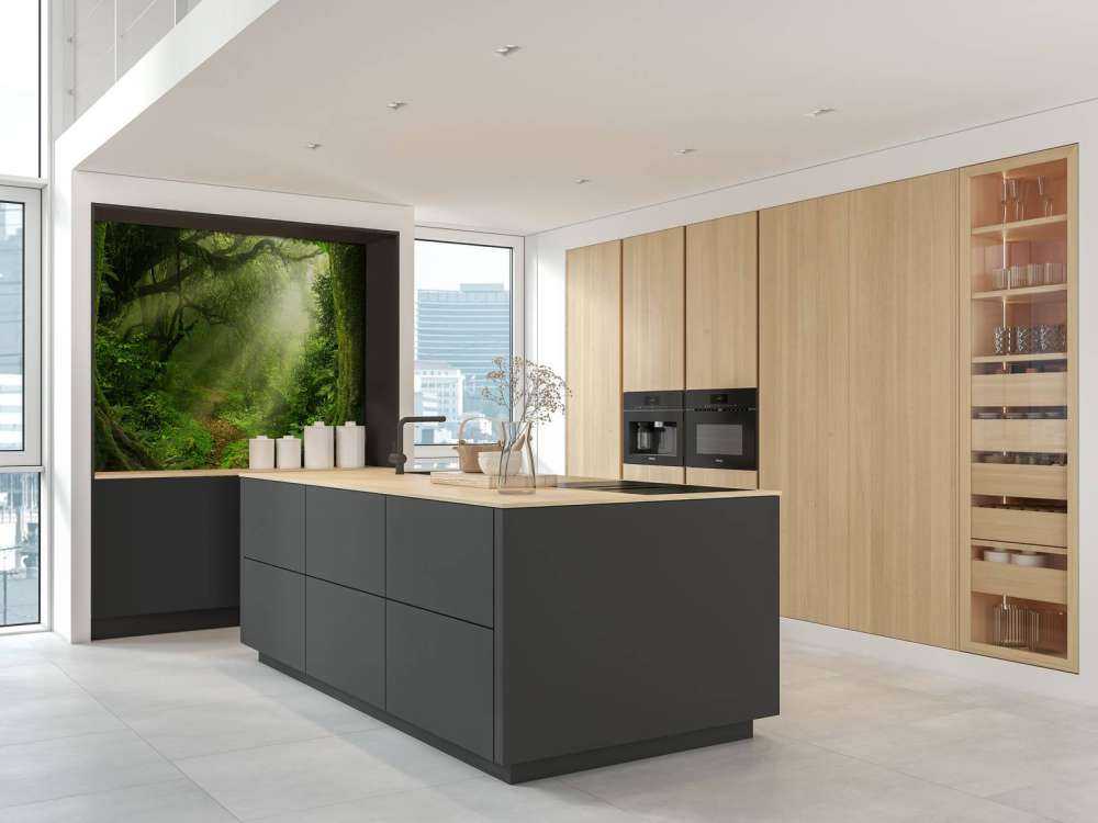 Dżungla z promieniami słońca