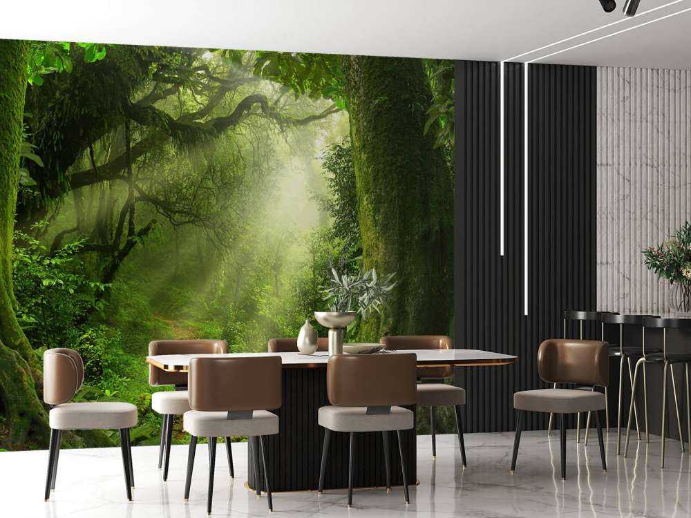 Dżungla z promieniami słońca