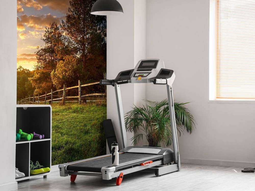 Pastwisko o zachodzie słońca