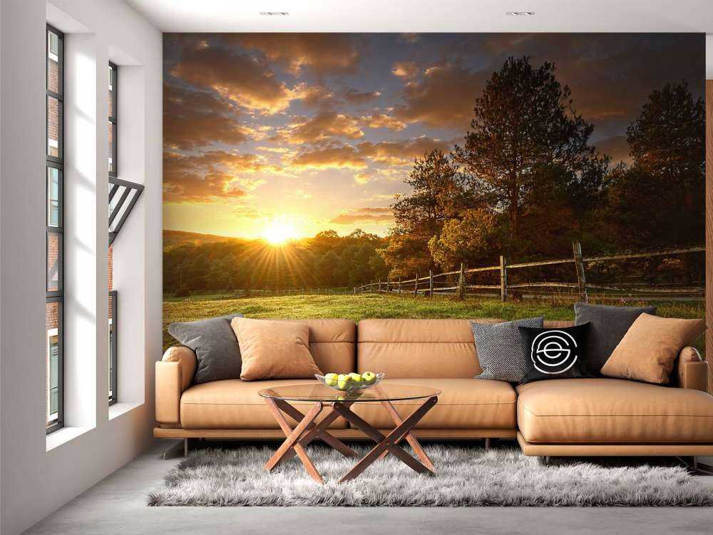 Pastwisko o zachodzie słońca