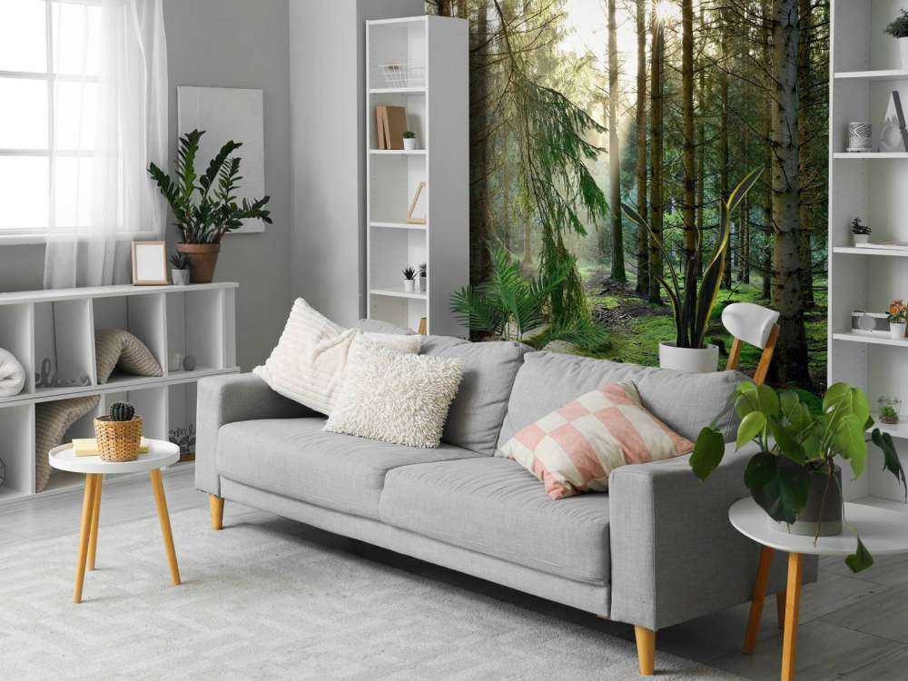 Las iglasty w porannym słońcu